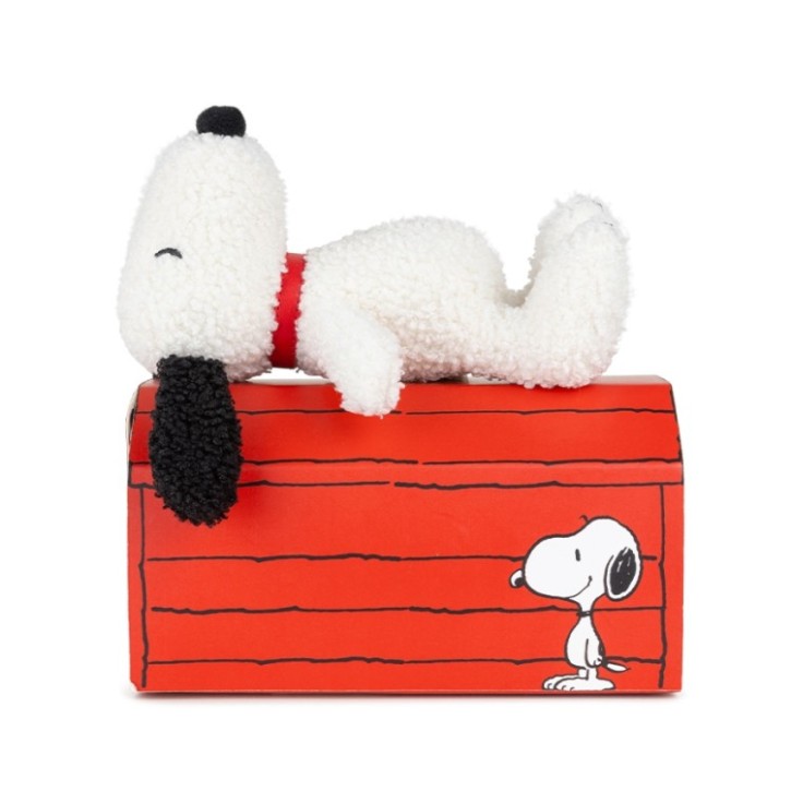Snoopy mit Geschenkbox